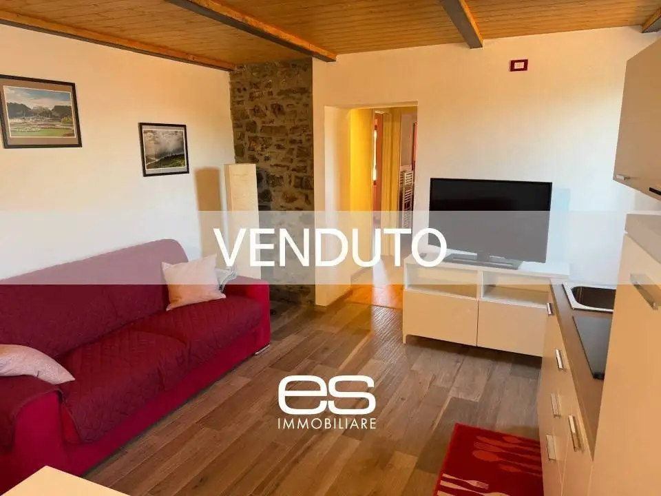 Appartamento in vendita a Perledo