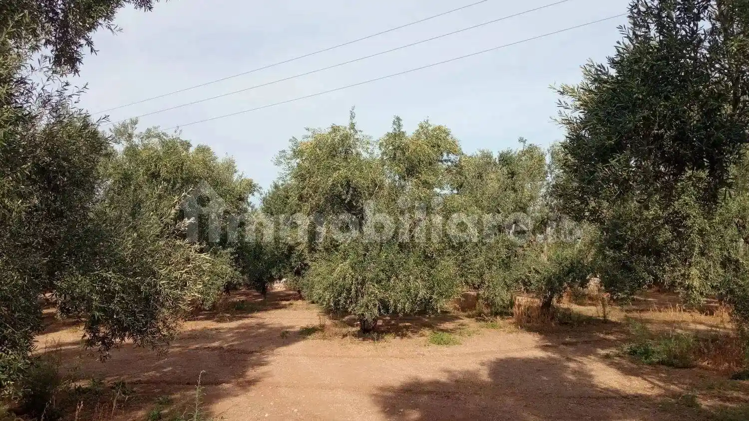 Rustico - Casale in vendita a Giovinazzo