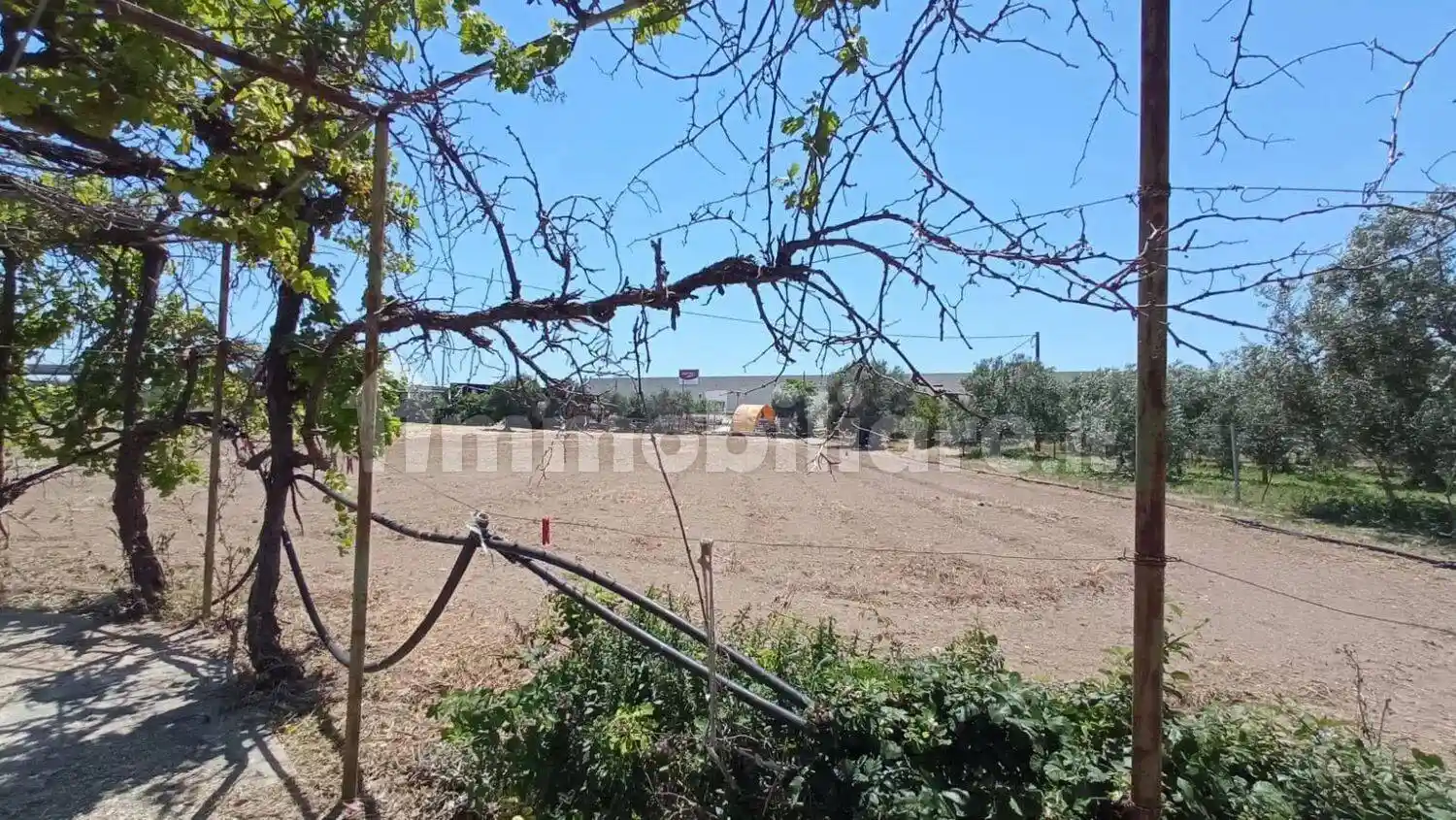 Rustico - Casale in vendita a Molfetta