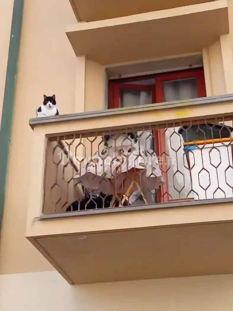 Bilocale via Francesco Carrara, Lungomare, Viareggio - foto 5