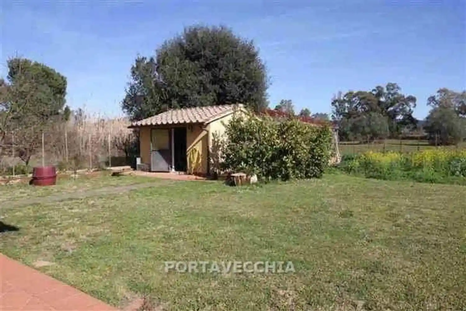 Appartamento buono stato, Braccagni, Grosseto - foto 4