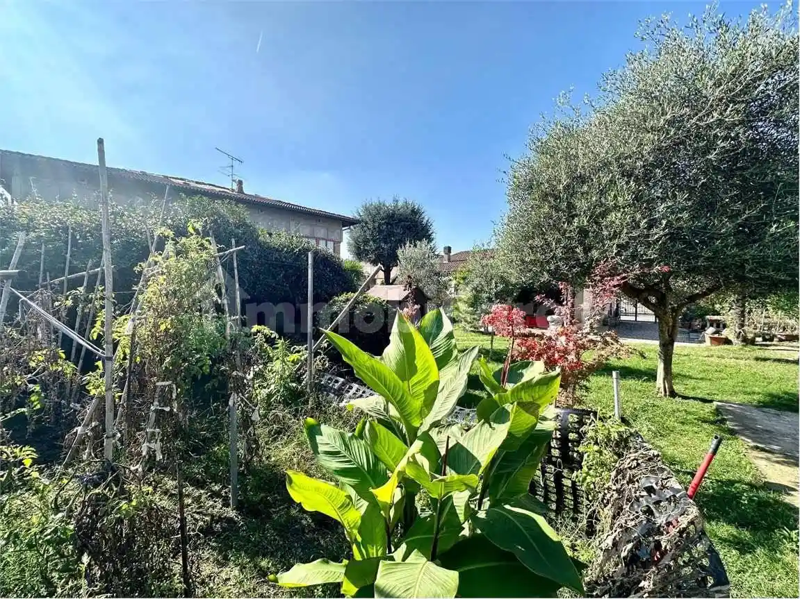 Terratetto unifamiliare via Garibaldi, Borgolavezzaro - foto 5