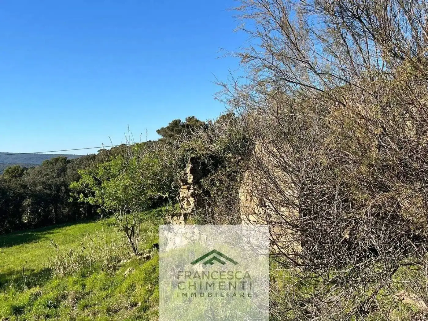 Rustico - Casale in vendita a Rosignano Marittimo