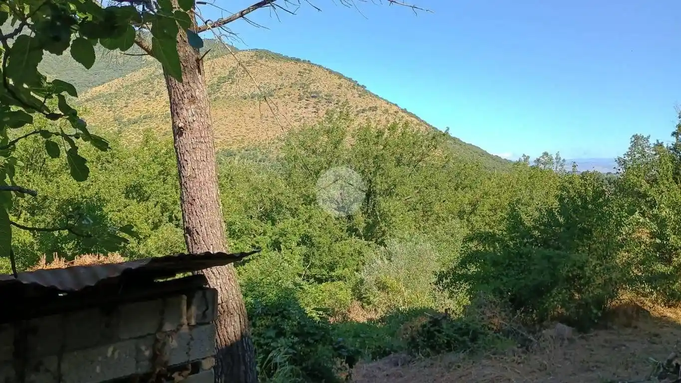 Quadrilocale Contrada Valle Reale 24, Castro dei Volsci - foto 5