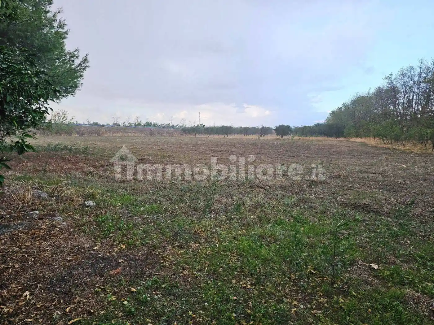 Villa unifamiliare via del Salice, Salice Nuovo, Foggia - foto 3