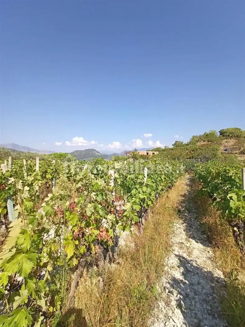 Casa indipendente in vendita a San Biagio della Cima