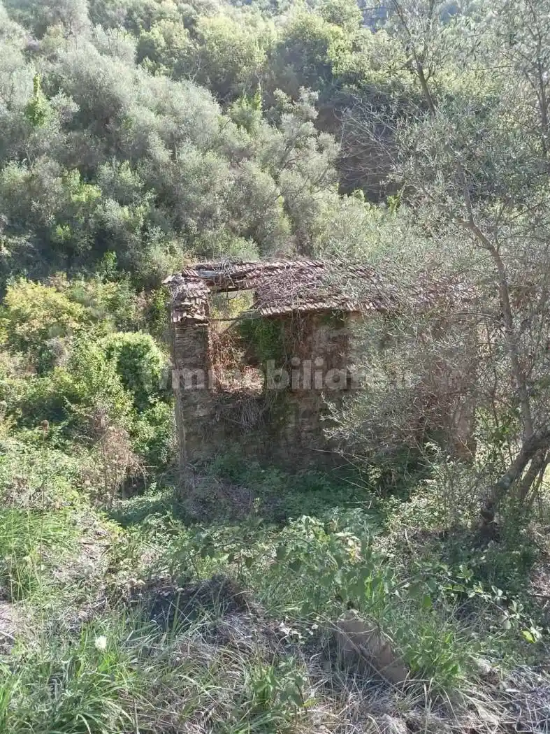 Rustico Vernunte, Apricale - foto 2