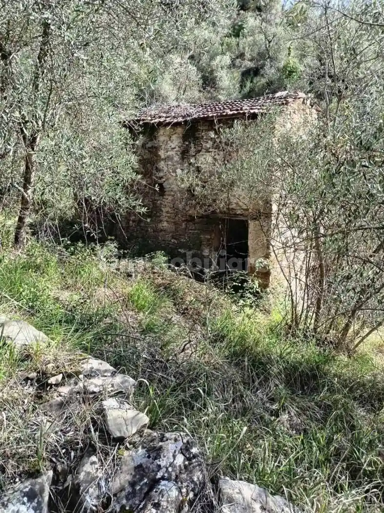 Rustico Vernunte, Apricale - foto 4