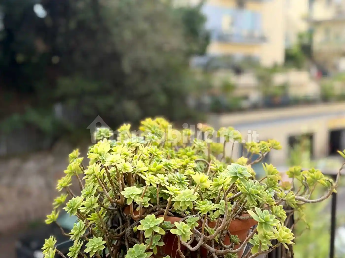 Trilocale via dei Lincei 42, Ardeatino - Montagnola, Roma - foto 4