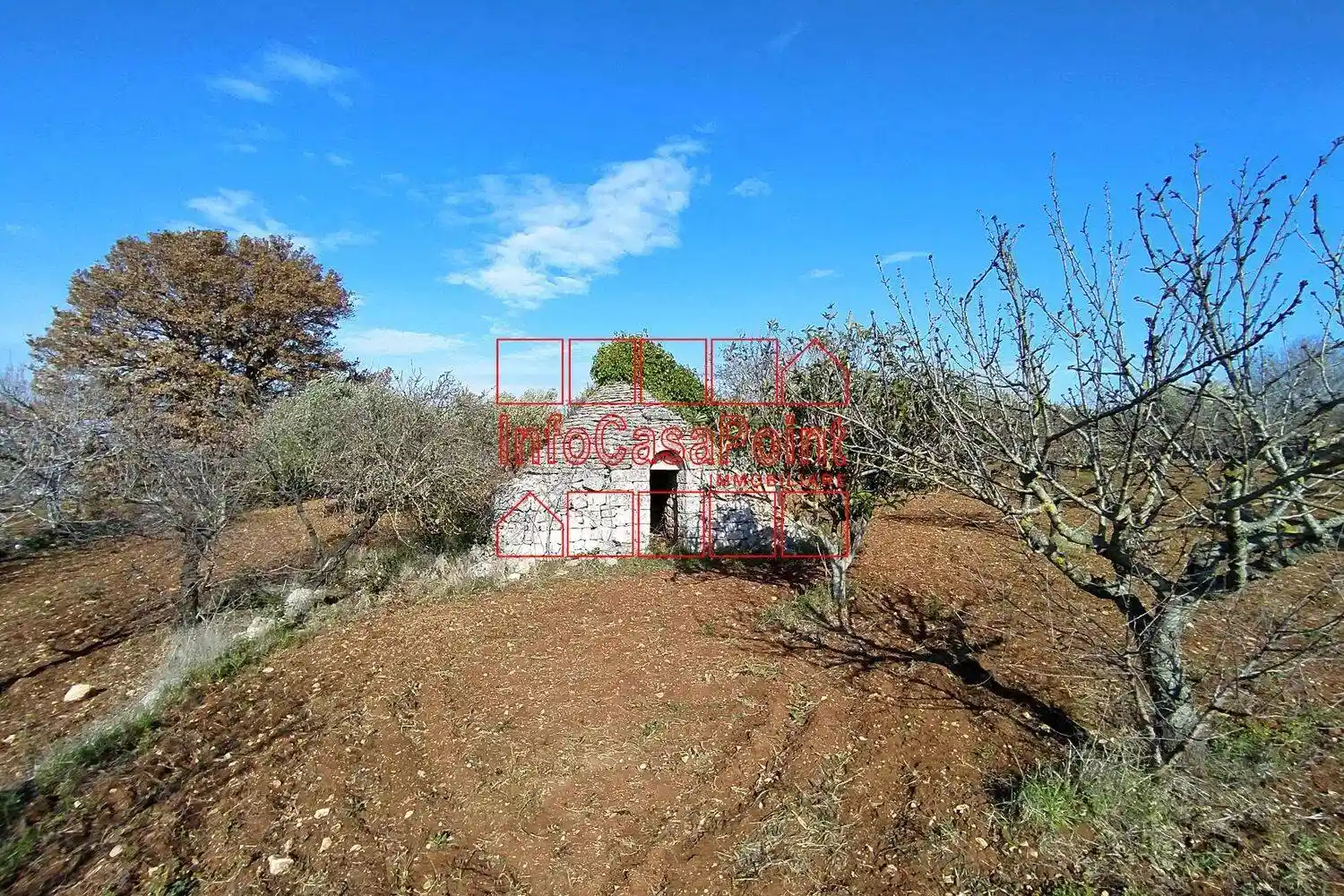 Rustico - Casale in vendita a Castellana Grotte