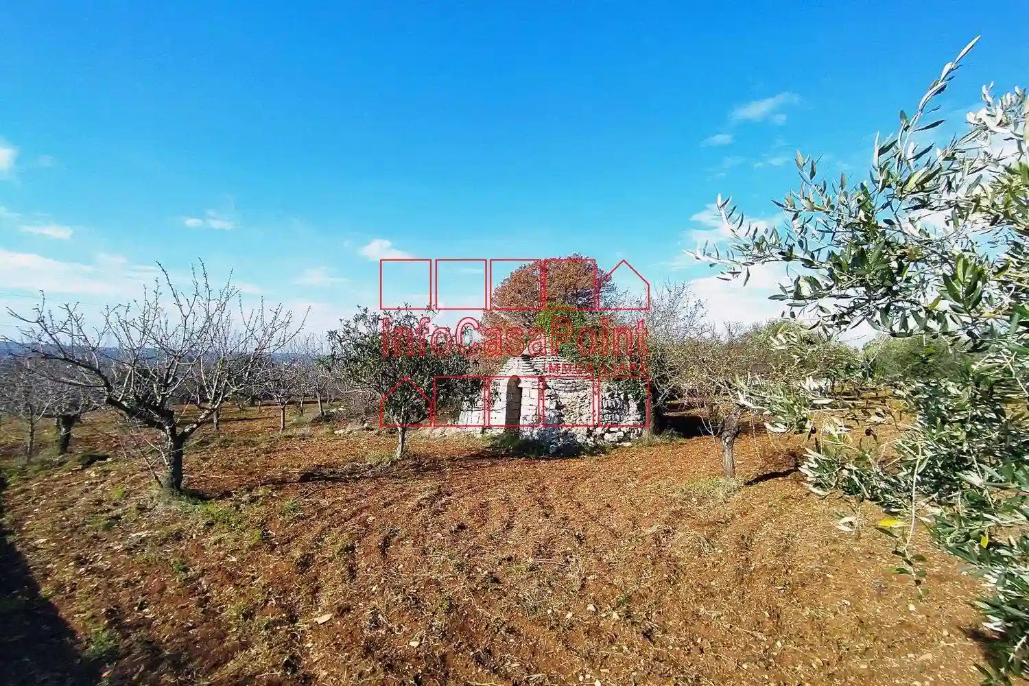 Rustico - Casale - foto 3