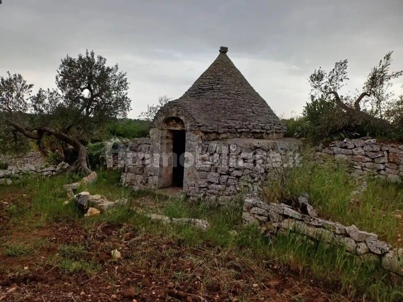 Rustico - Casale in vendita a Castellana Grotte