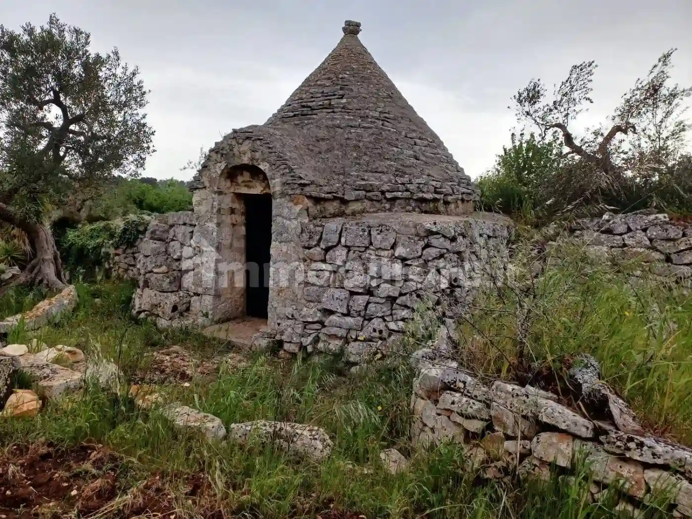 Rustico - Casale - foto 2