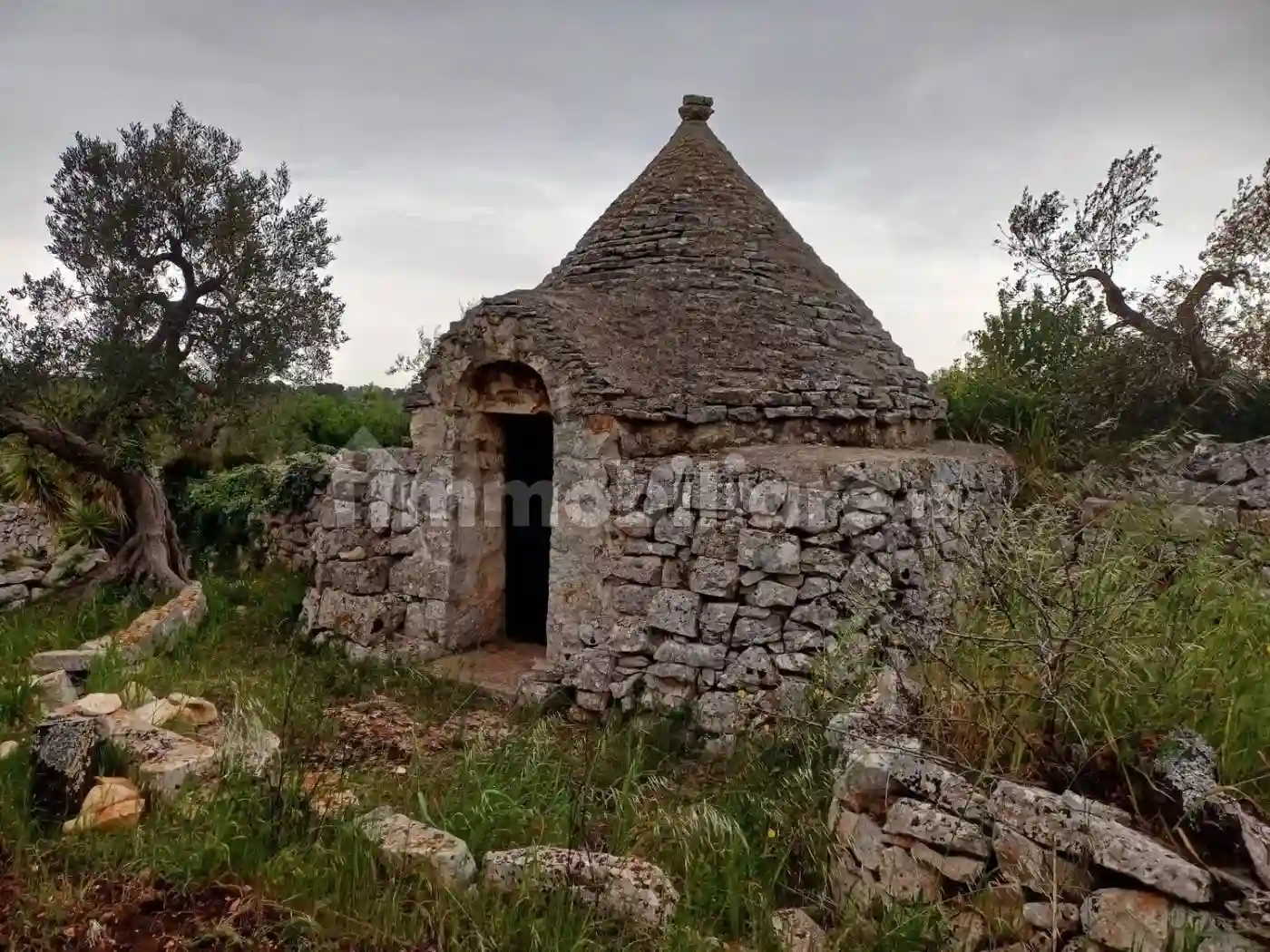 Rustico - Casale - foto 3