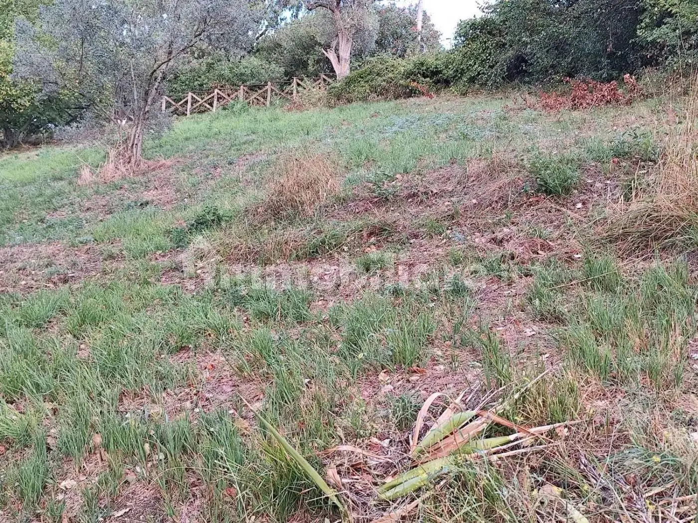 Villa unifamiliare via Della Parrocchia, Campagna - foto 5