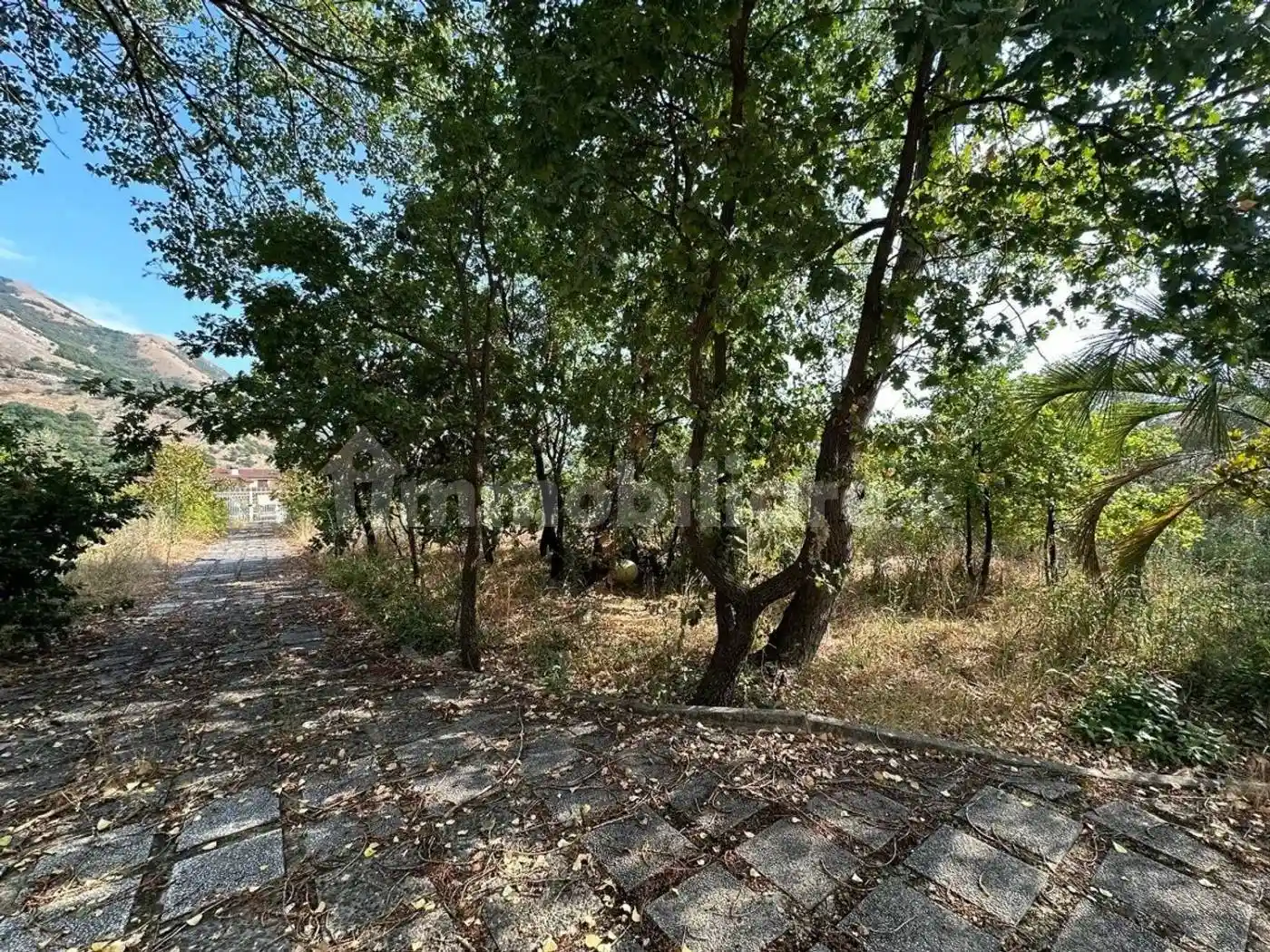 Villa unifamiliare Contrada San Leonardo, 2, Centro, Colliano - foto 5