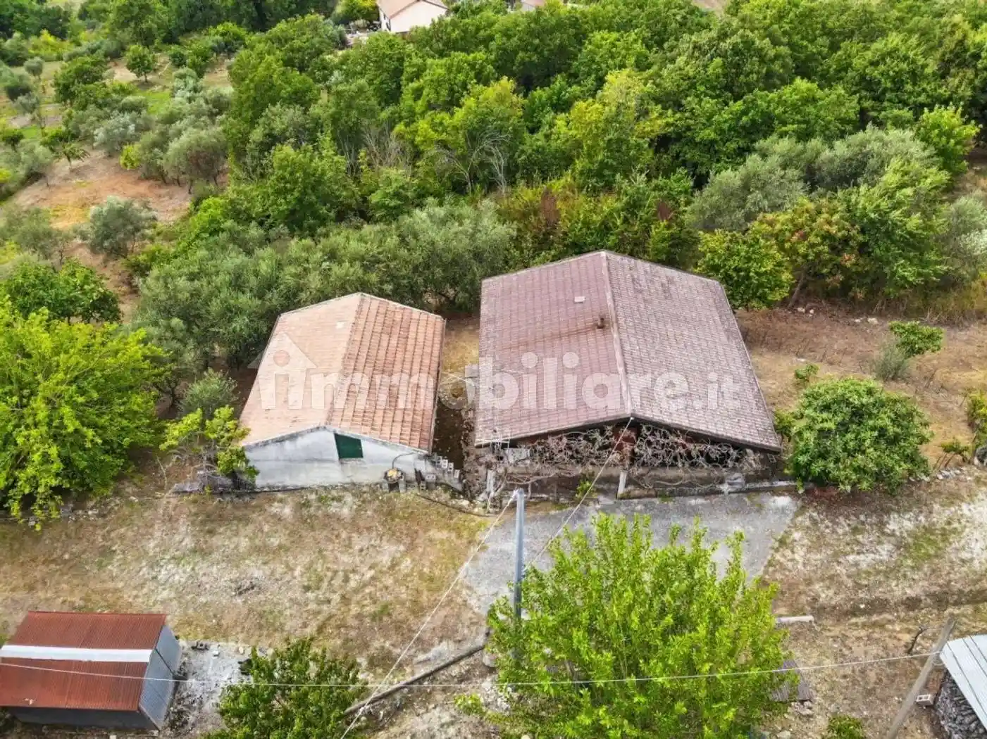 Rustico - Casale - foto 5