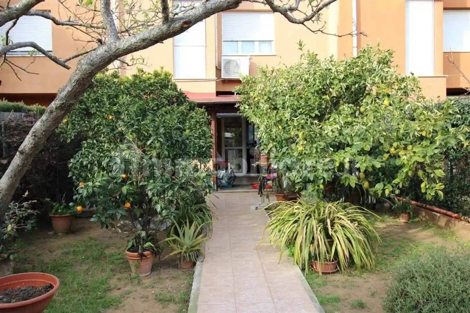 Villa in vendita a San Vincenzo