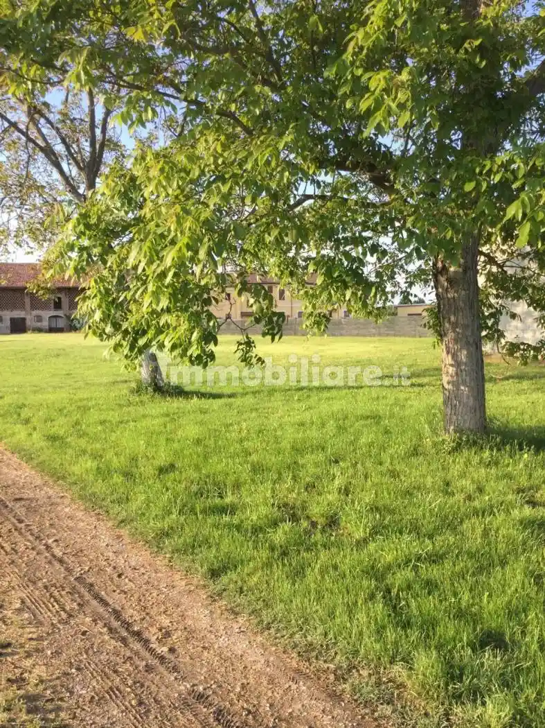 Villa unifamiliare Barchessa No Number, Barchessa, Villimpenta - foto 2