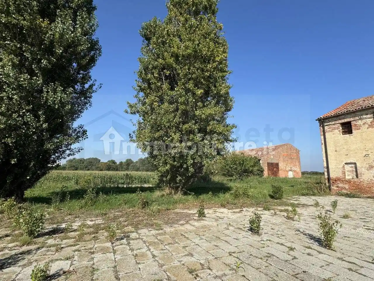 Rustico via Leonardo da Vinci, Conetta, Cona - foto 4