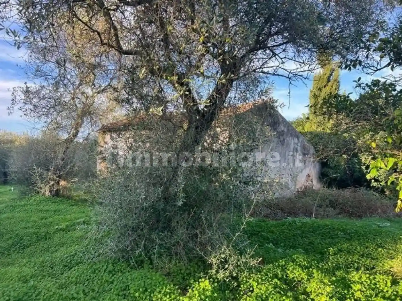 Rustico - Casale in vendita a Sassari