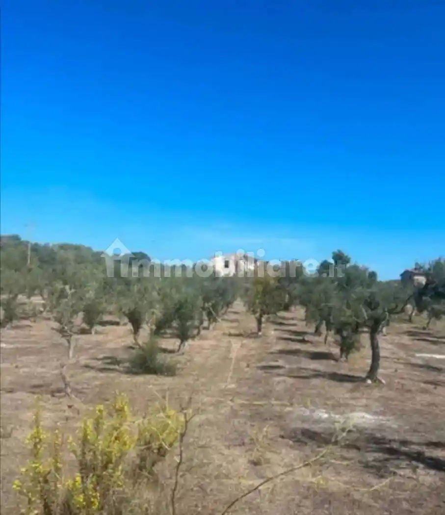 Villa unifamiliare Giaumona, San Giovanni - Villa Gorizia, Sassari - foto 3