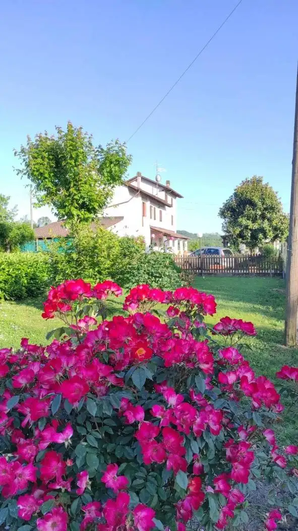 Villa in vendita a Castelnuovo Bormida