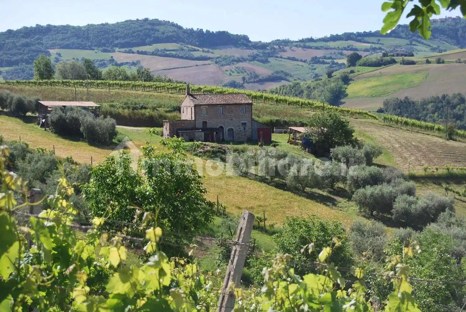 Rustico - Casale in vendita a Montefiore dell'Aso