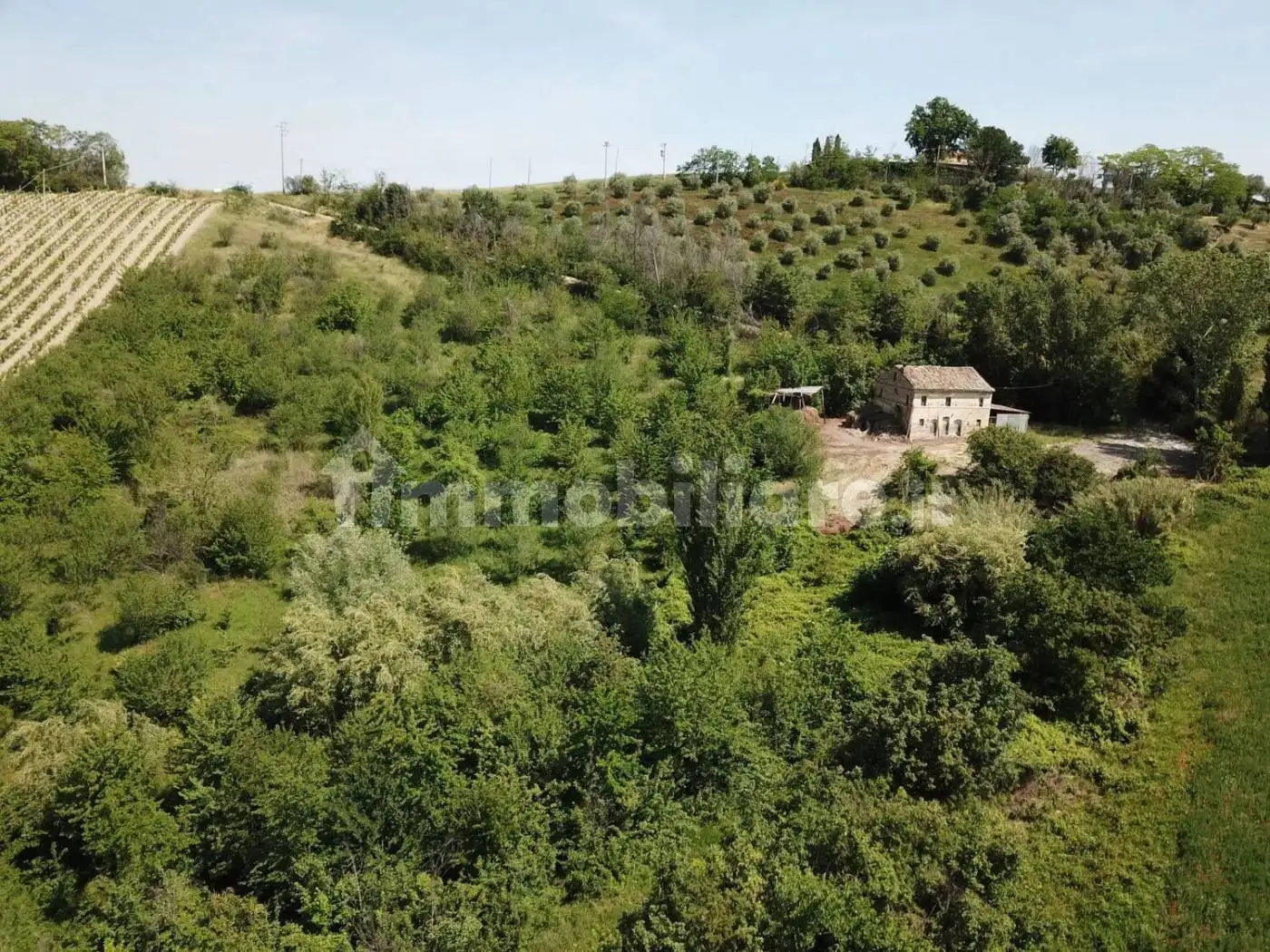 Rustico - Casale in vendita a Montottone