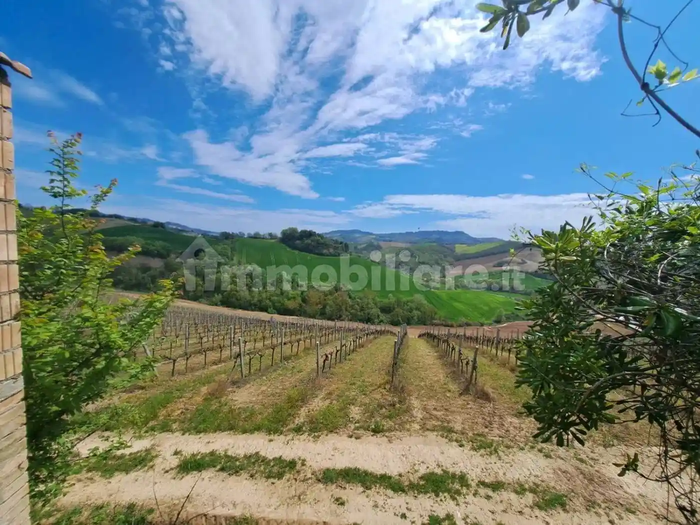 Cascina via Roma No Number, Carassai - foto 5