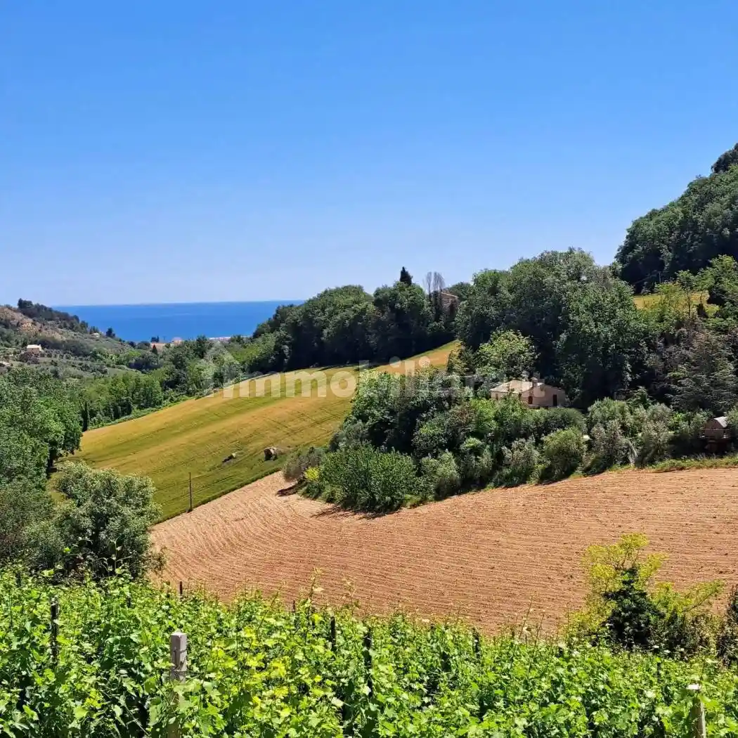 Rustico - Casale in vendita a Massignano