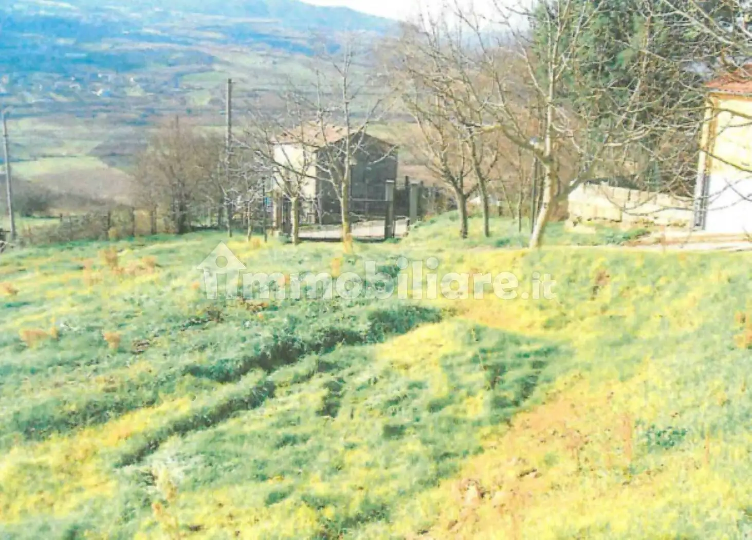 Palazzo - Stabile - foto 5