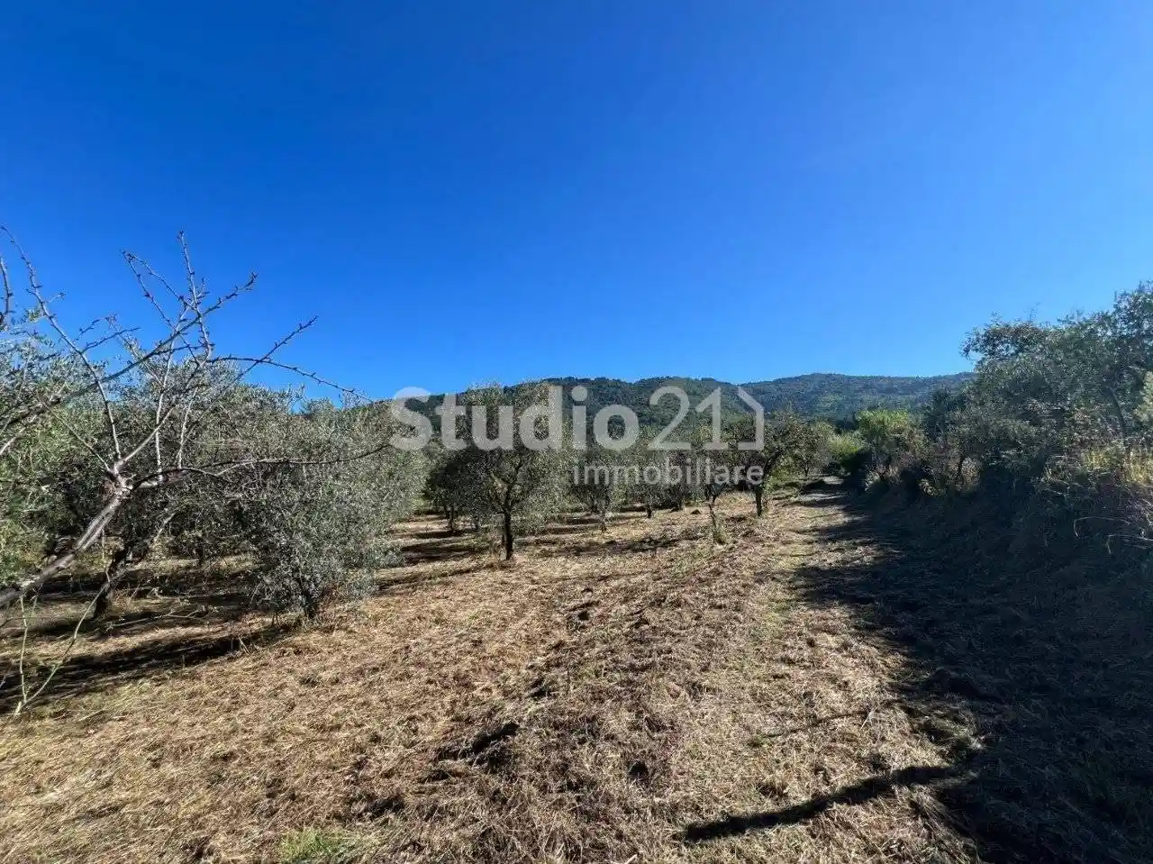 Villa in vendita a Reggello