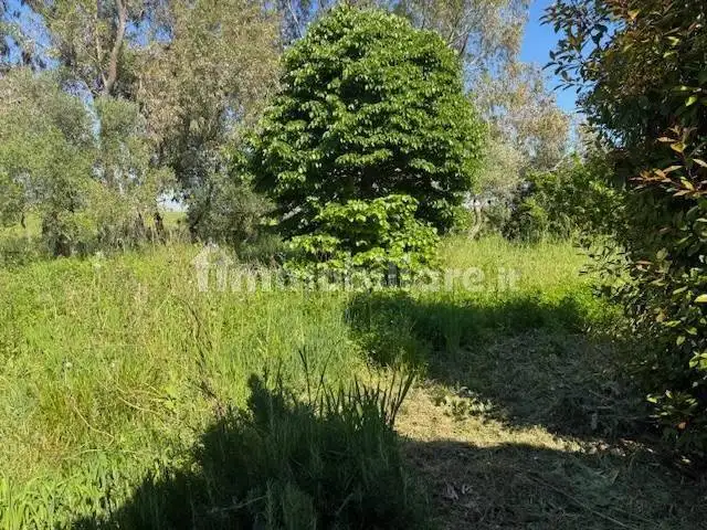 Villa in affitto a Pisa