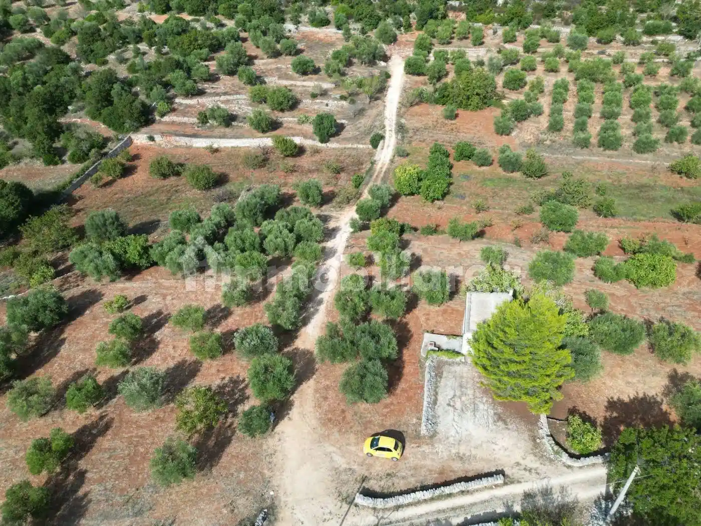 Rustico - Casale in vendita a Monopoli