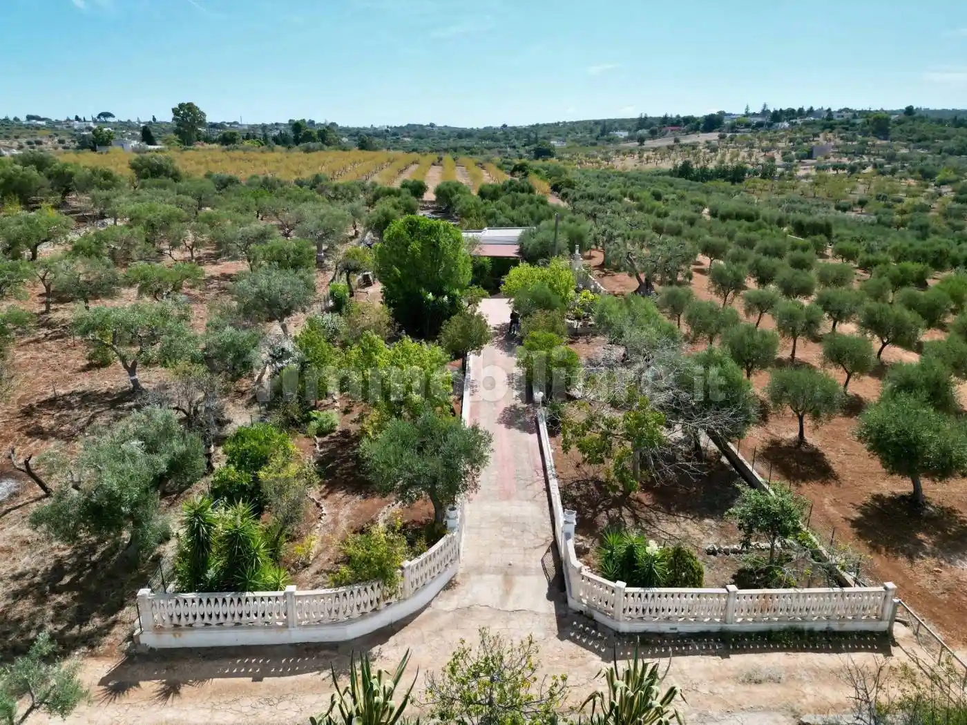 Villa in vendita a Monopoli