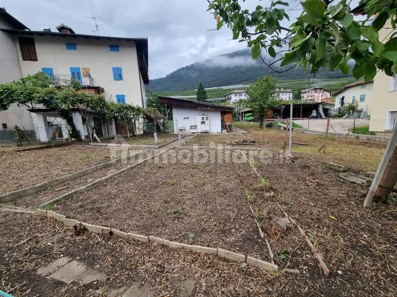 Villa a schiera Romallo, Novella - foto 2