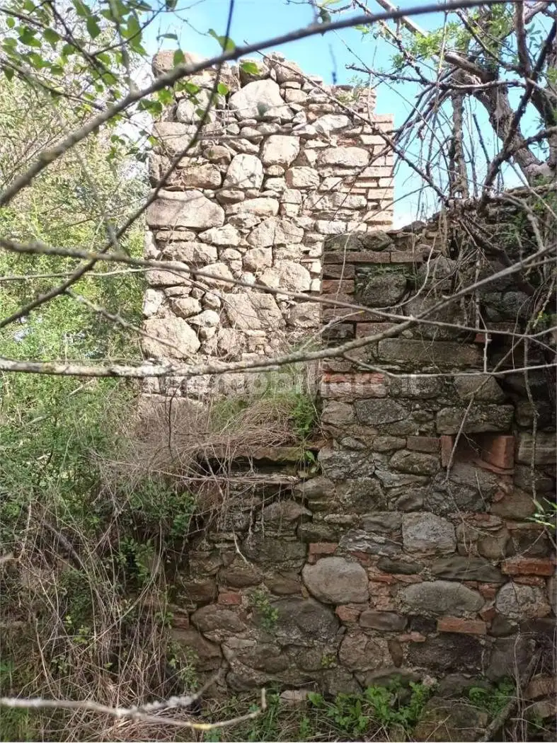 Rustico - Casale in vendita a Cinigiano