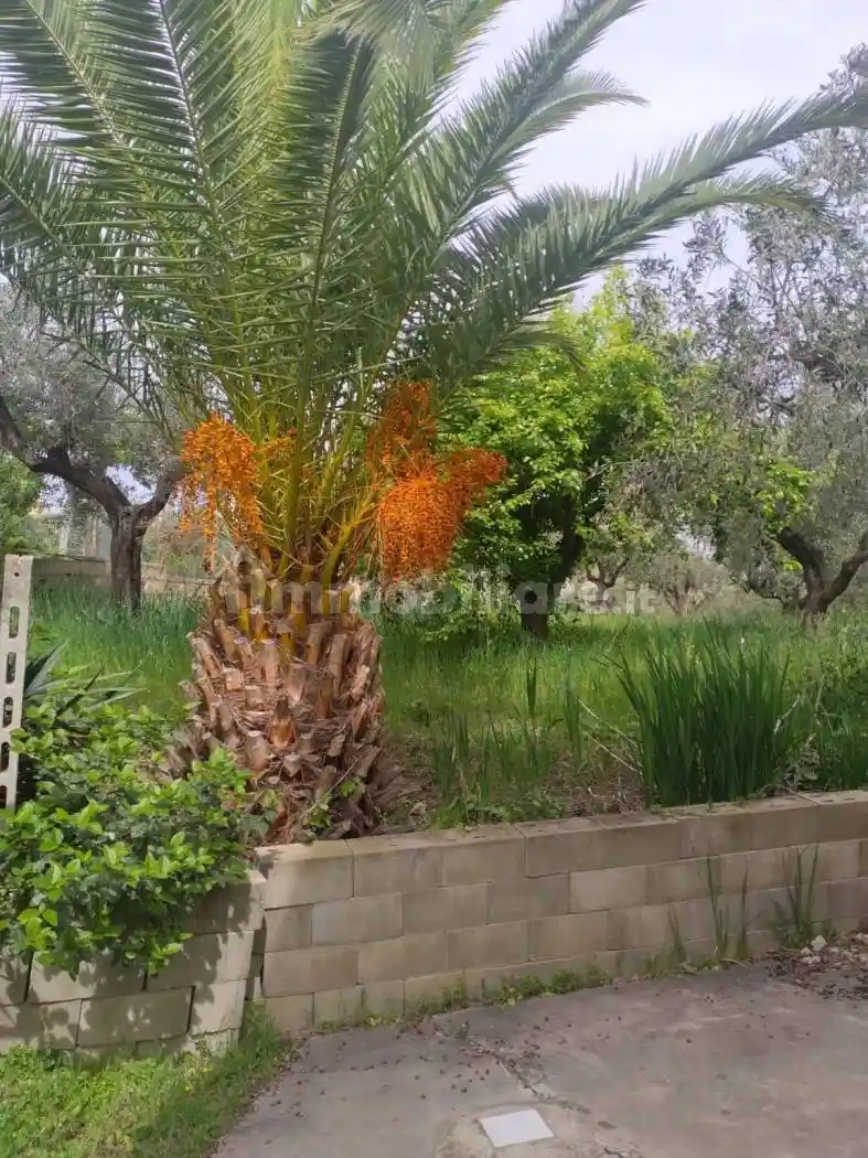 Villa bifamiliare via Crocifisso, Crocefisso, Città Sant'Angelo - foto 5