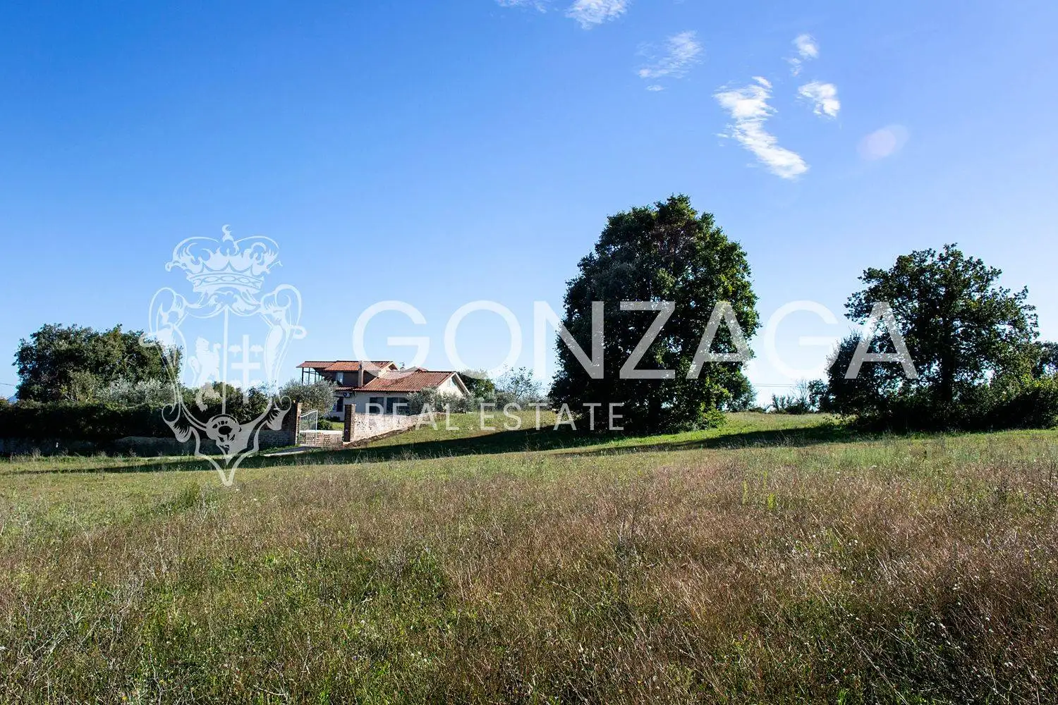 Rustico - Casale in vendita a Gallese