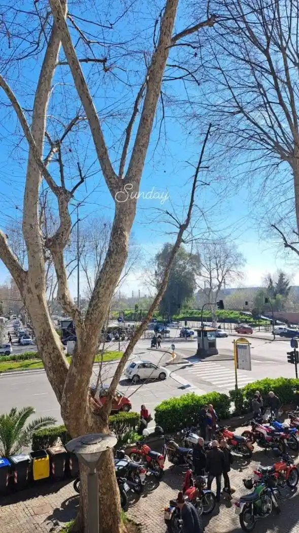 Quadrilocale ottimo stato, primo piano, Ponte Milvio, Roma - foto 2