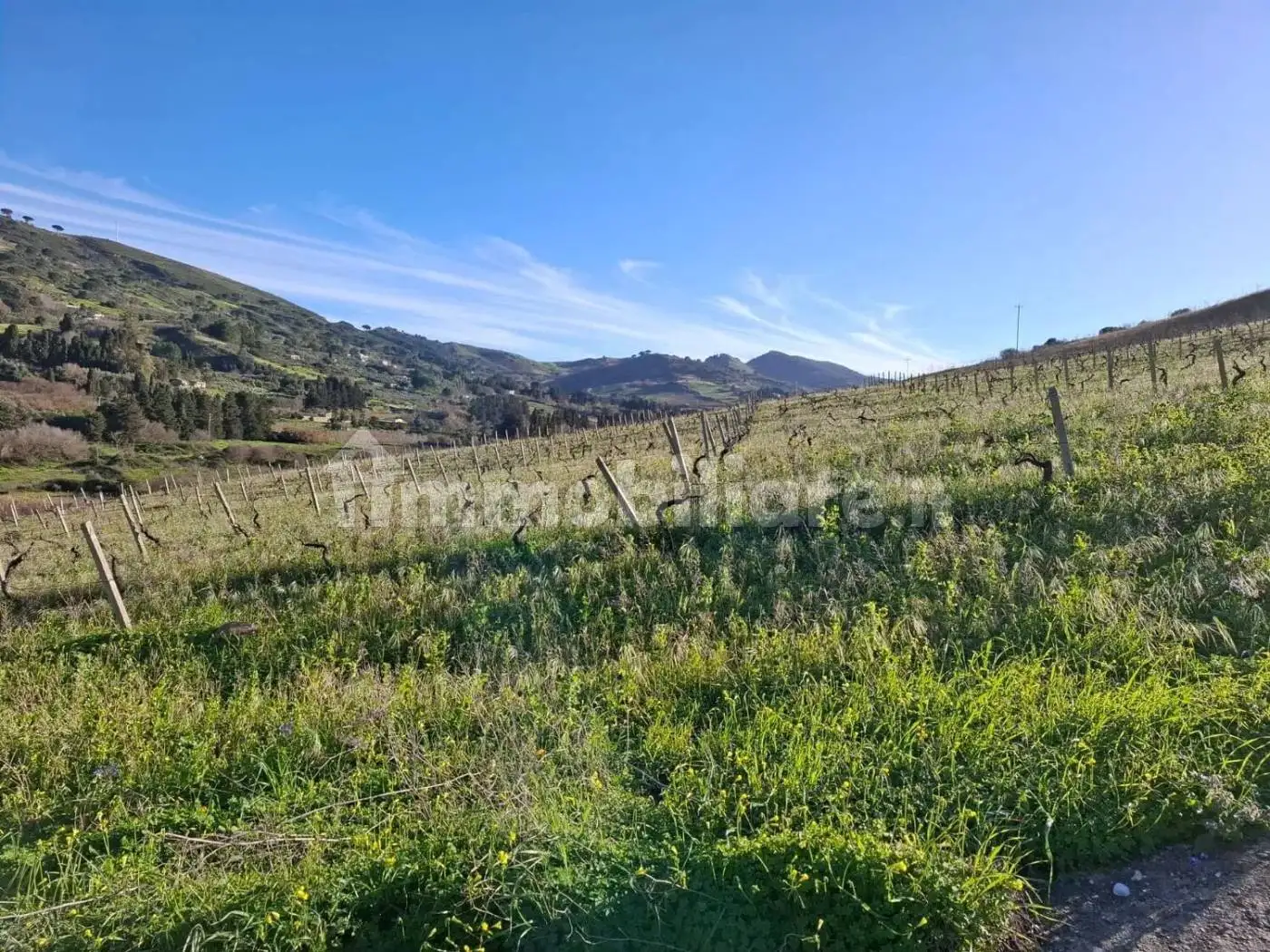 Rustico Contrada Pianto Romano No Number, Calatafimi-Segesta - foto 3