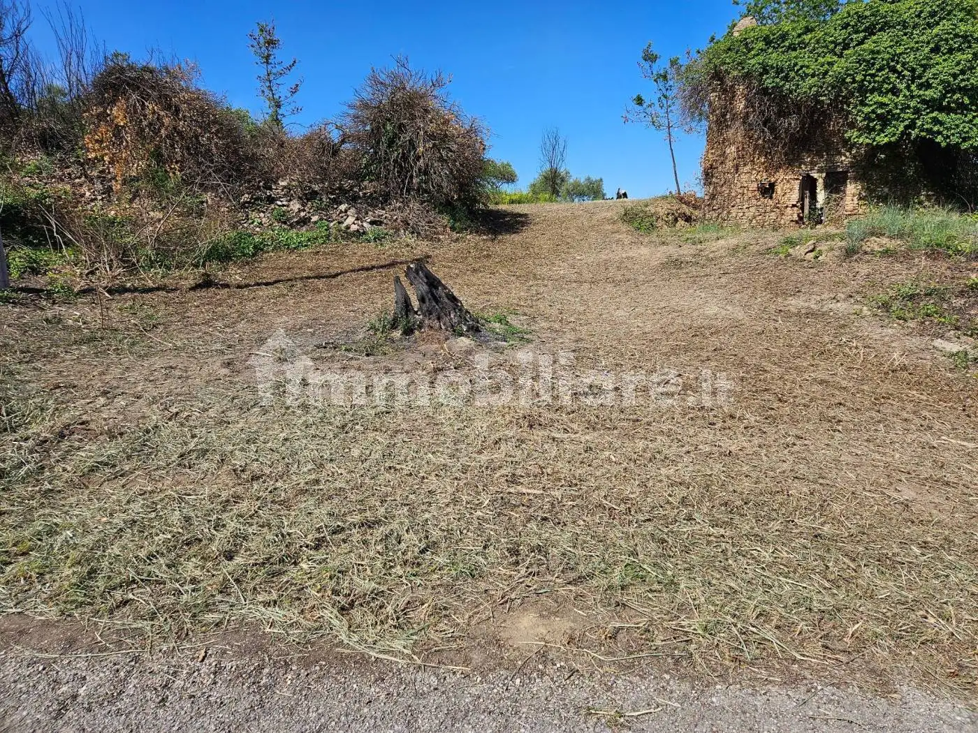 Rustico Contrada Colle Spaccato, Bucchianico - foto 4