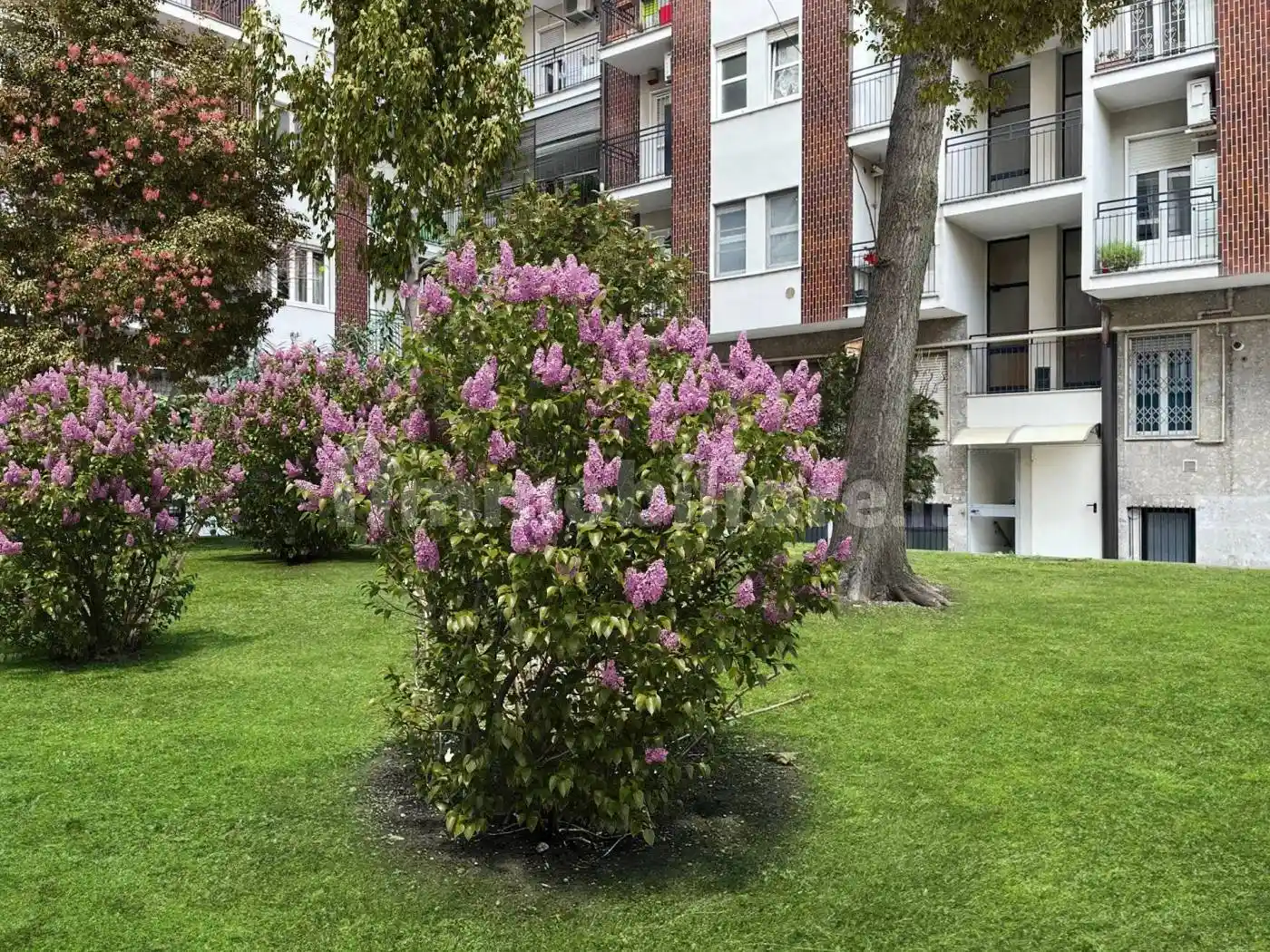 Bilocale via Tortona 18, Solari, Milano - foto 4