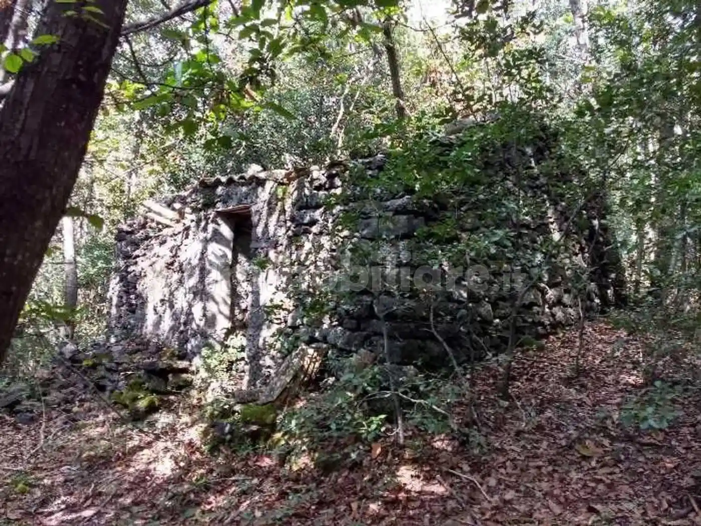 Rustico - Casale in vendita a Trecastagni