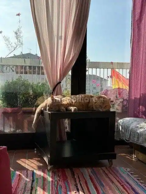 Attico via Rembrandt 58, San Siro, Milano - foto 3