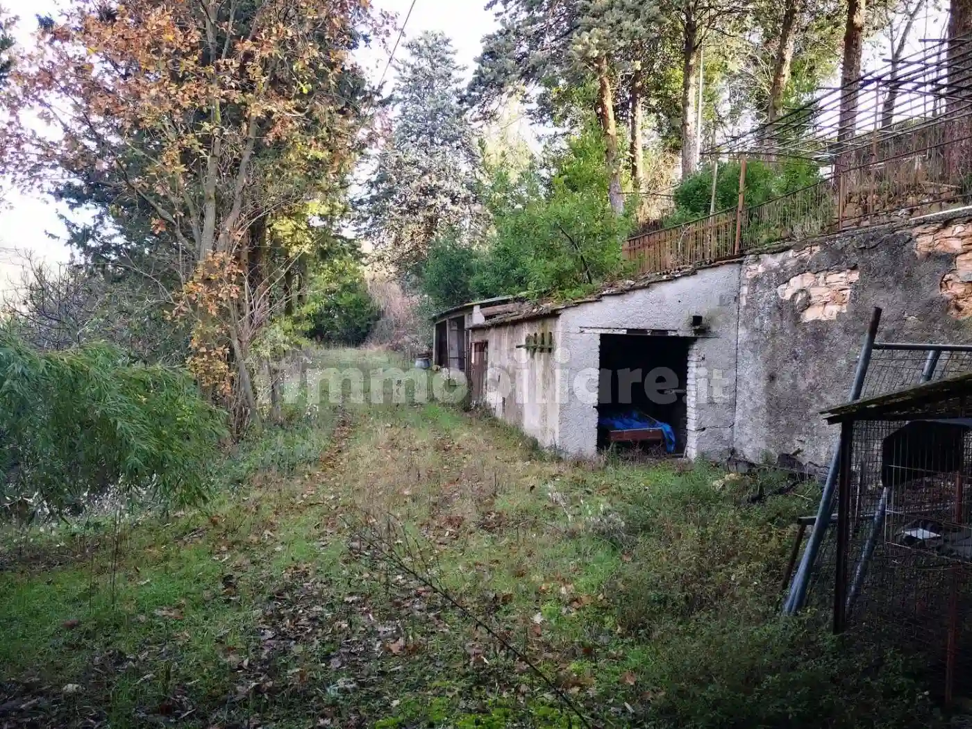 Rustico - Casale - foto 4