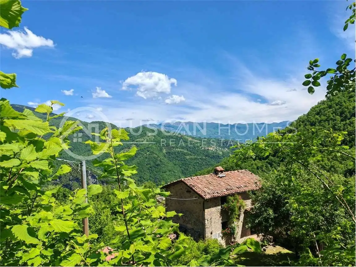 Rustico - Casale in vendita a Molazzana