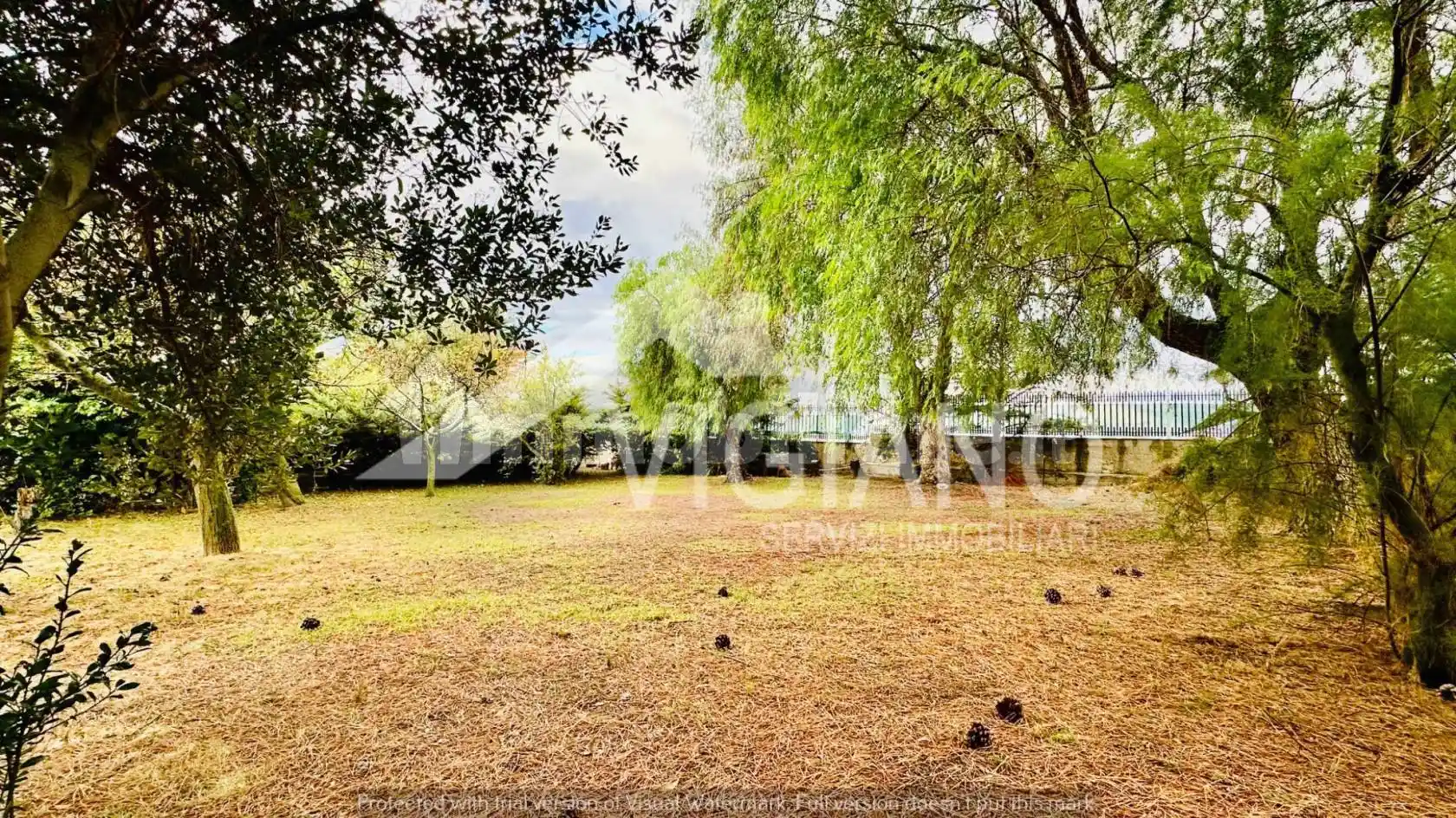 Villa unifamiliare Strada Comunale Seggese-Borgo Cervaro, Montecalvello - Segezia, Foggia - foto 3