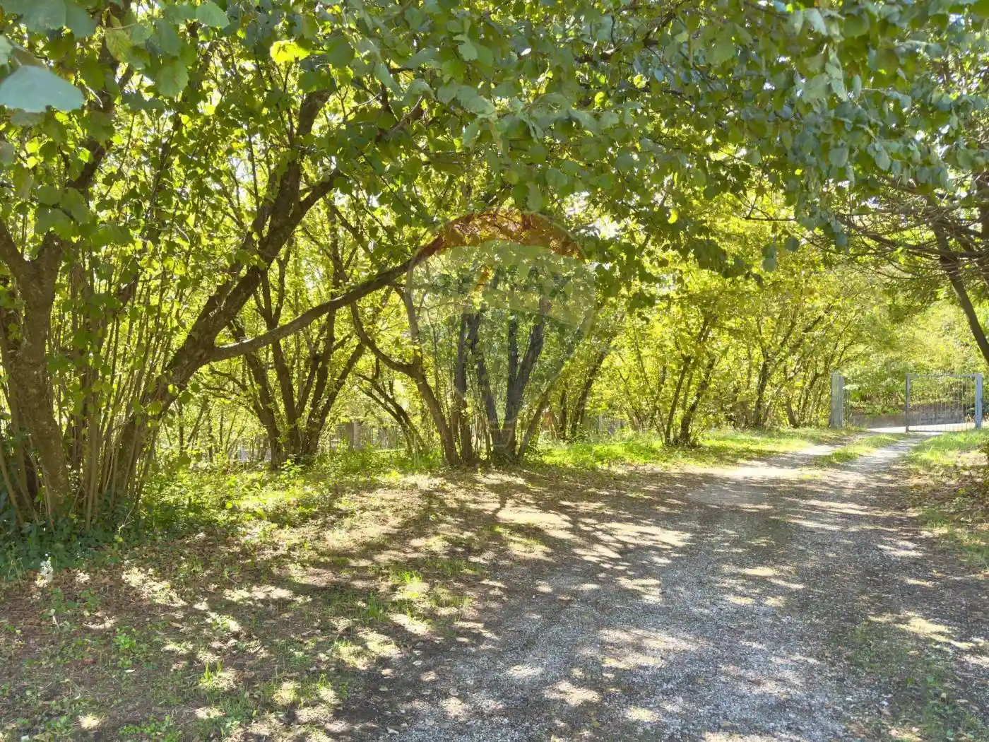 Villa bifamiliare via Ponticelli 4D, Valle, Pennini, Sant'Eustachio, Avellino - foto 4